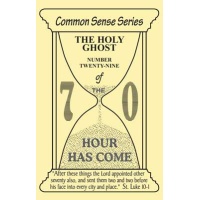 cse-29-the-holy-ghost.jpg